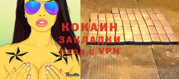 дживик Горняк