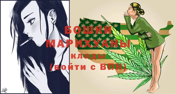 дживик Горняк