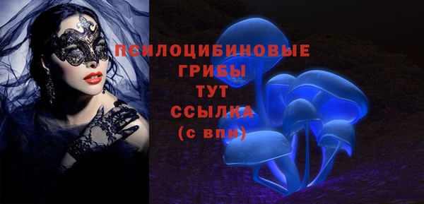 дживик Горняк