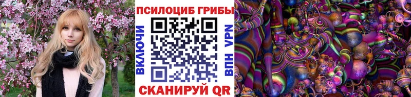 Псилоцибиновые грибы Psilocybe  хочу   Закаменск 