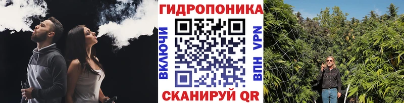 Каннабис Amnesia  купить наркотики сайты  Закаменск 